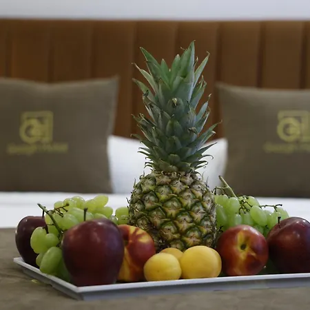 Hotel Gezgin Edirne