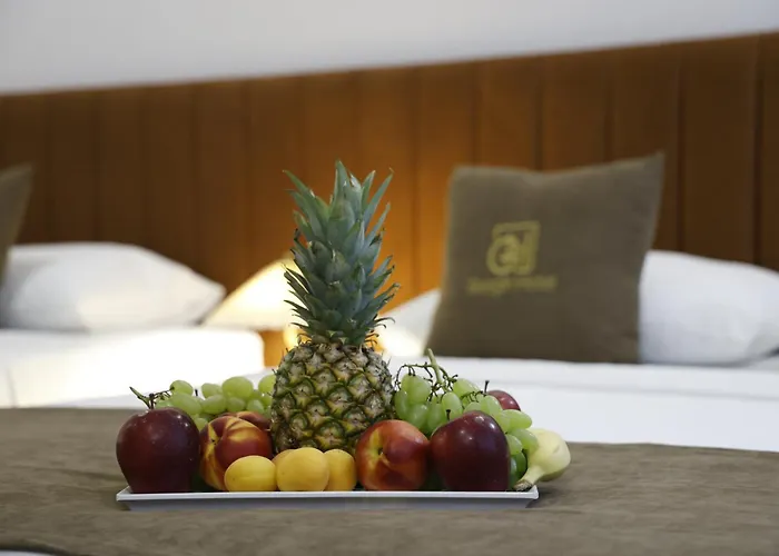 Hotel Gezgin 3*