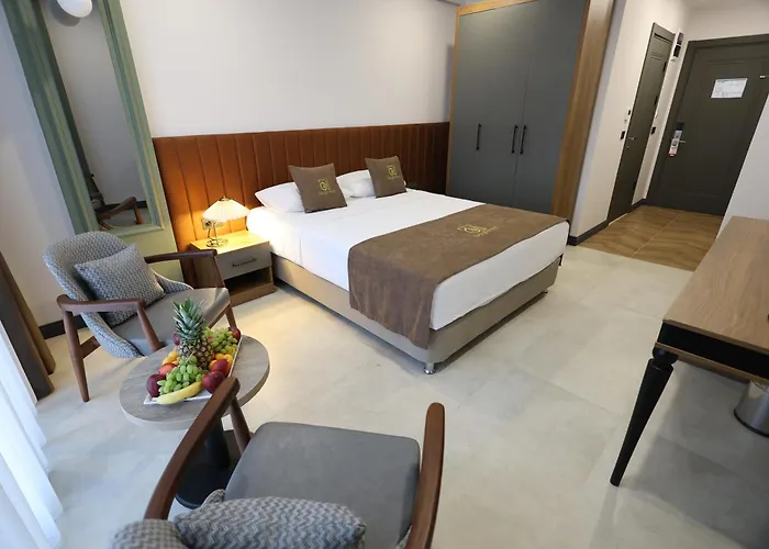 Gezgin فندق أديرني